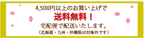 送料無料サービス