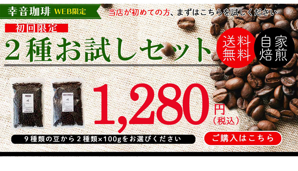初回限定