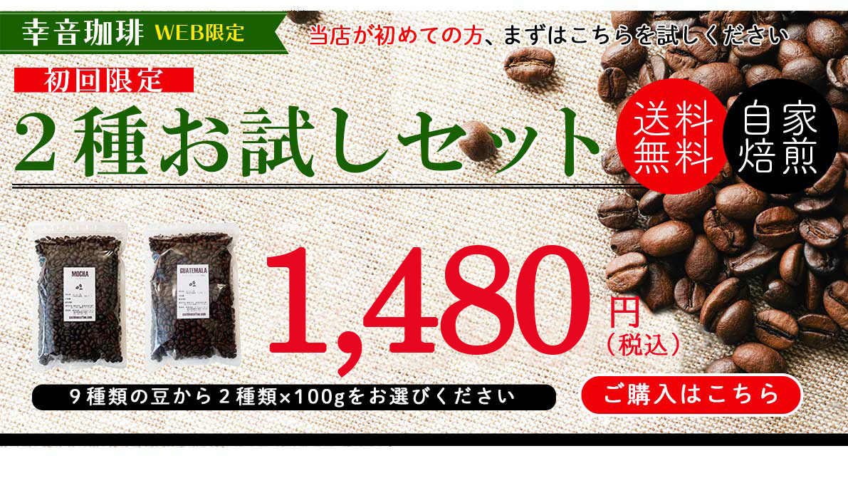 初回限定